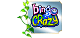 Bingo Crazy